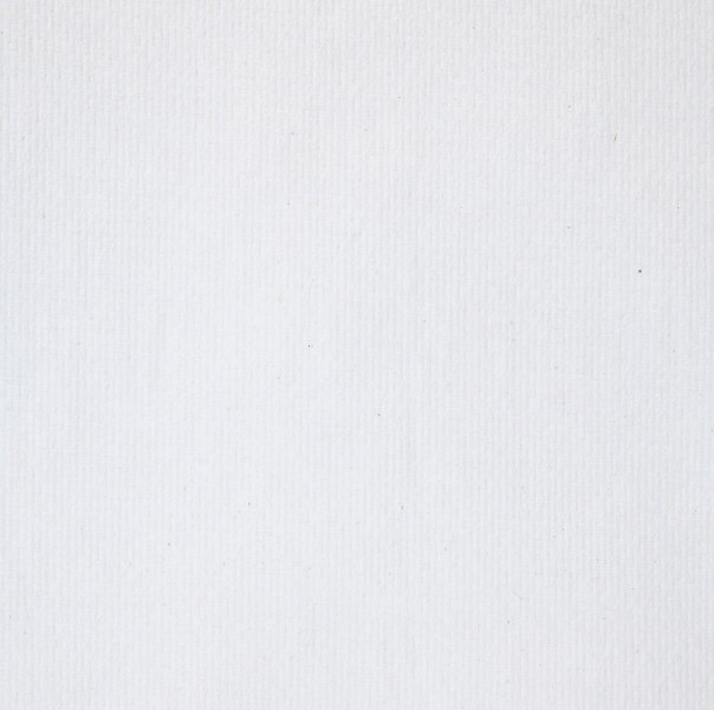 Одноразовые полотенца для рук в рулоне SCOTT XL